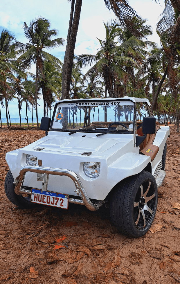 passeio de buggy em porto de galinhas